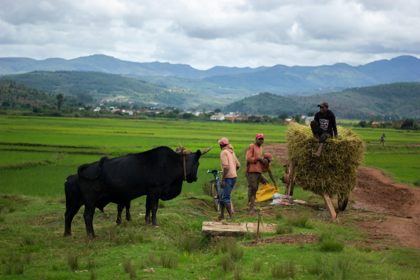 La belle campagne de Madagascar