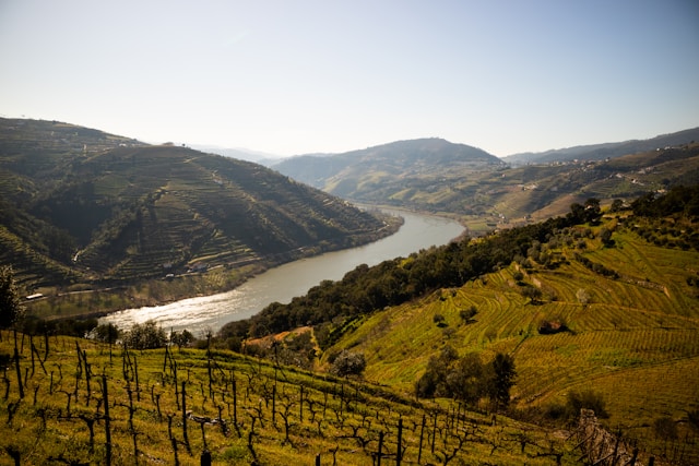 Quels secrets historiques se cachent derrière les châteaux et forteresses de la région du Douro ?