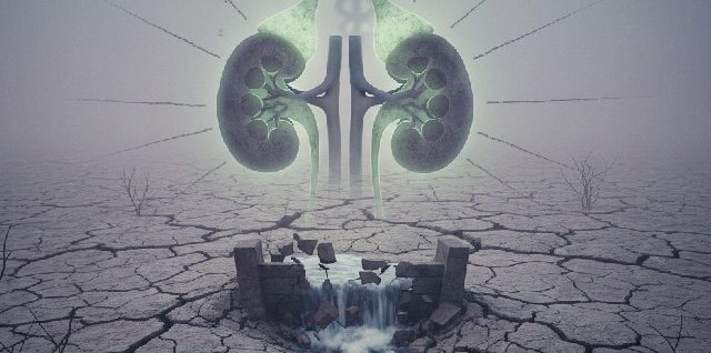 insuffisance rénale