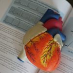 maladies cardiovasculaires