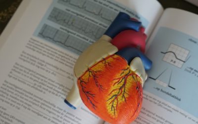 maladies cardiovasculaires