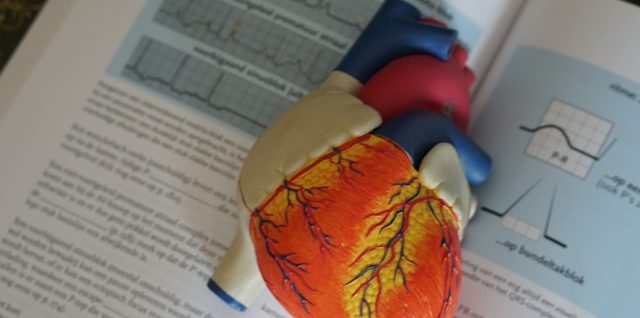 maladies cardiovasculaires