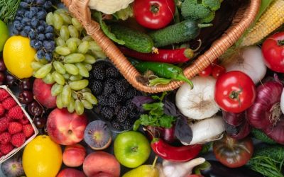 Alimentation et santé